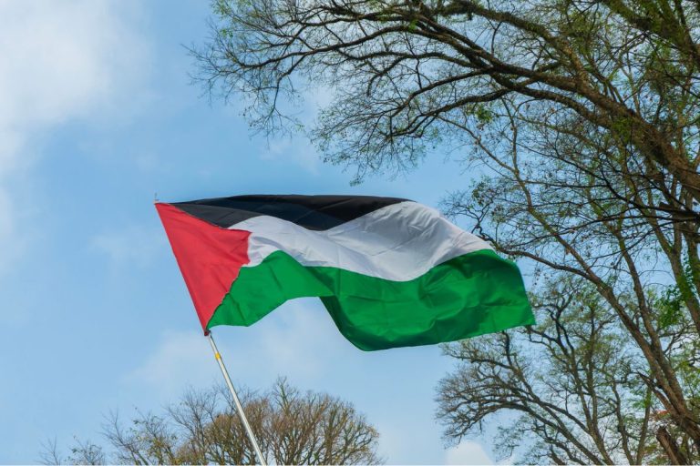 qu’Emmanuel Macron doit officialiser la reconnaissance de l’État de Palestine lors de la 80e Assemblée générale des Nations unies (ONU), le 22 septembre 2025 à New York, plusieurs villes françaises ont déjà choisi de hisser son drapeau sur leurs mairies. Une initiative à laquelle s’est jointe Saint-Denis.