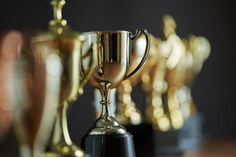 Anina Ciuciu participera mardi 7 octobre 2025 à la grande finale du concours qui récompense chaque année un jeune avocat porteur d’un projet de loi en lien avec les libertés fondamentales