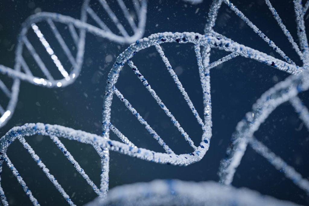 Partisan de la généalogie génétique, Didier Seban avait annoncé y recourir dans l’affaire Sabine Dumont lors d’une conférence de presse en juin dernier.