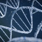 Encadrement de la généalogie génétique en France : « Cela peut permettre des avancées très importantes dans certaines enquêtes bloquées »