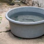 Quatre mois de prison avec sursis pour une femme qui avait noyé son chien : l’amertume de l’association partie civile