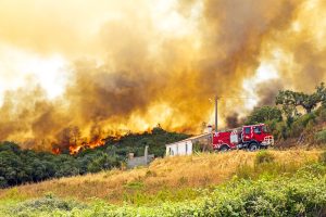 colline en feu.stock-image-27951725-M