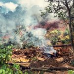 Orpaillage en Guyane : pour le procureur général de Cayenne, il faut «&nbsp;davantage traiter la dimension internationale&nbsp;»