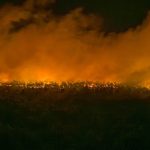 Incendies volontaires en forêt de Fontainebleau&nbsp;: la Région Ile-de-France va se porter partie civile