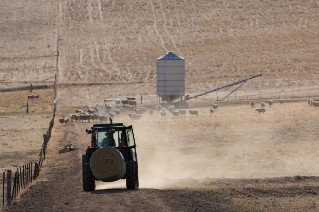 Image champs agricole atteint par la sécheresse