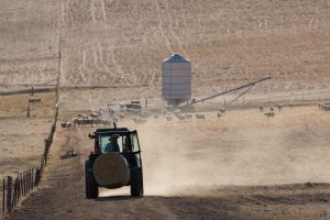 Image champs agricole atteint par la sécheresse