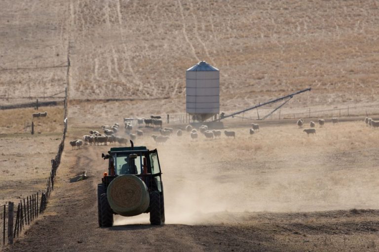 Image champs agricole atteint par la sécheresse