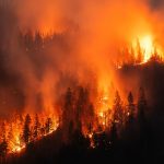 Incendies : quelles mesures fiscales de soutien pour les entreprises et les particuliers sinistrés ?