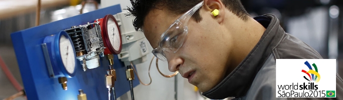 43e WorldSkills Competition : 9 médailles pour l’équipe de France des métiers !
