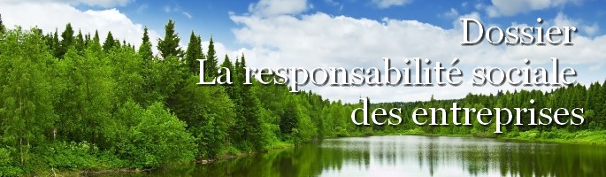 Journal des Sociétés n°135 - La responsabilité sociale des entreprises 
