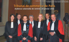 Journal Spécial des Sociétés n°12 - Tribunal de commerce de Paris