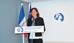 Conseil national des greffiers des tribunaux de commerce : Lancement officiel du Fichier national des interdits de gérer (FNIG)