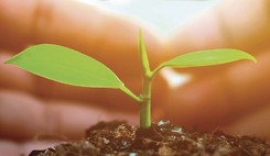Santé et environnement