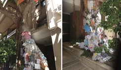 Où décore-t-on un magnolia pour honorer la mémoire d’un juge victime d’un attentat ?
