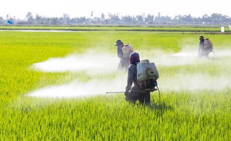 L’infernale saga des pesticides