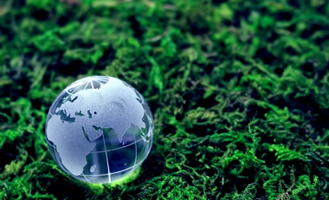 Protection des sols : où en est le droit européen ?