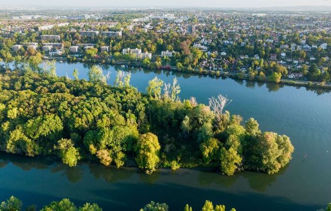 L'île d'Herblay-sur-Seine bientôt le premier sanctuaire de biodiversité en Île-de-France